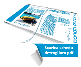 Scarica scheda  dettagliata pdf